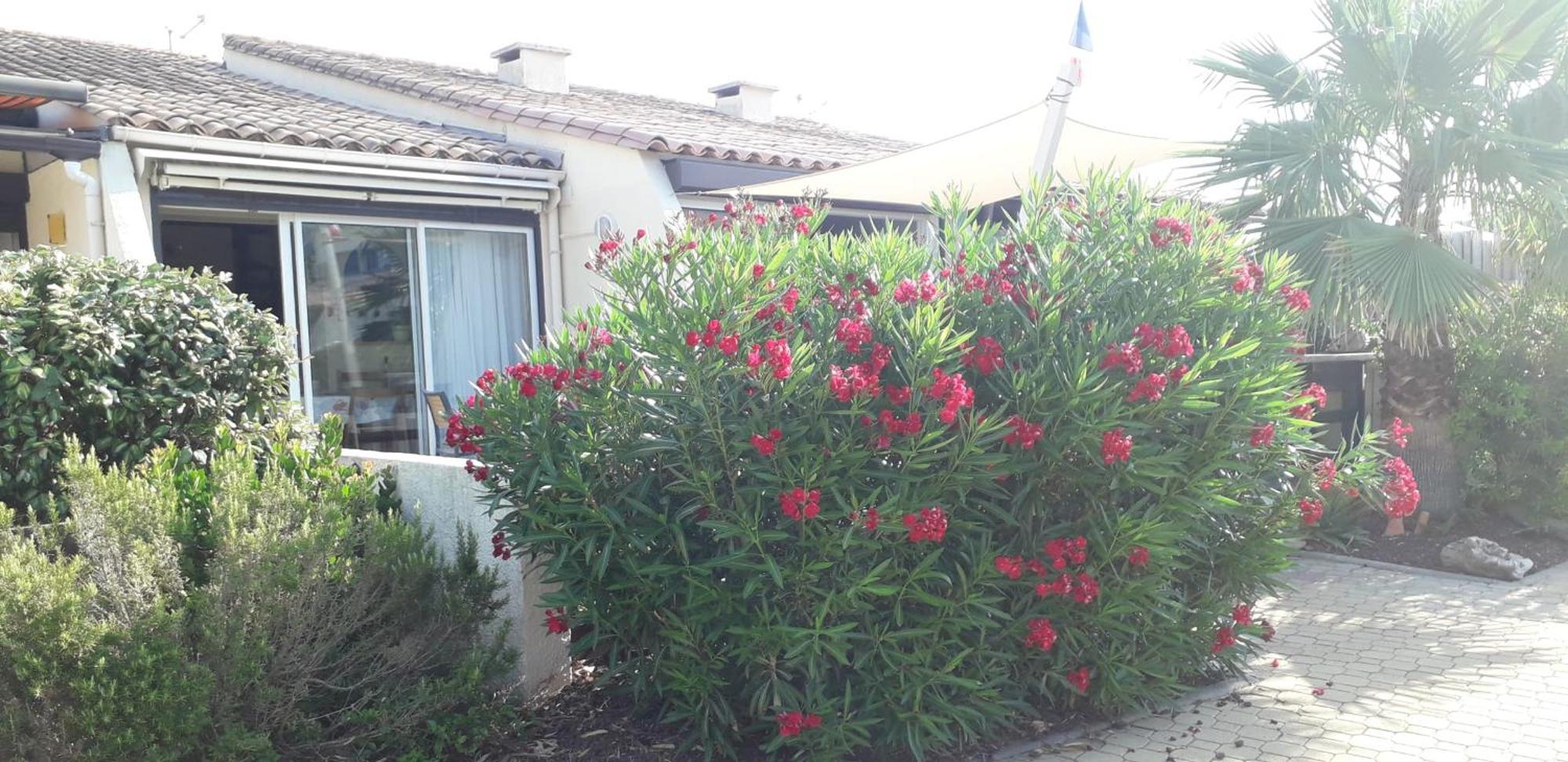 Naturiste Cap D'Agde Villa Heliovillage 58 Zewnętrze zdjęcie